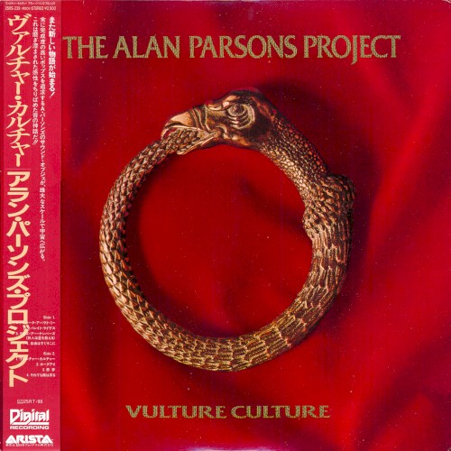 Vulture Culture封面