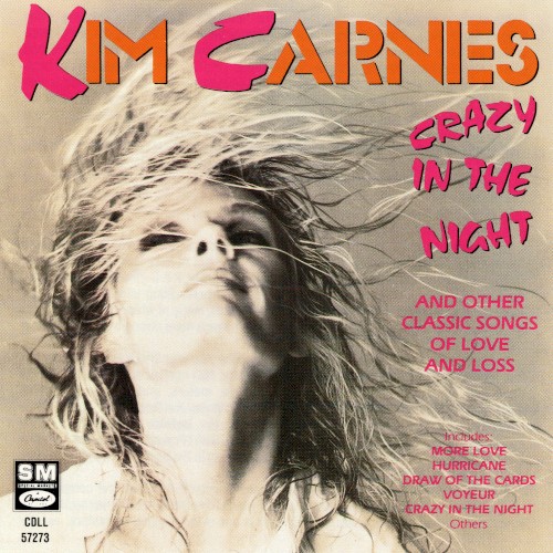 Crazy in the Night封面