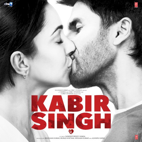 Kabir Singh封面