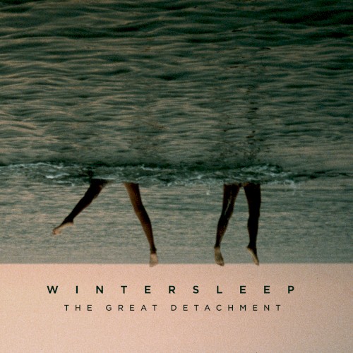 The Great Detachment封面