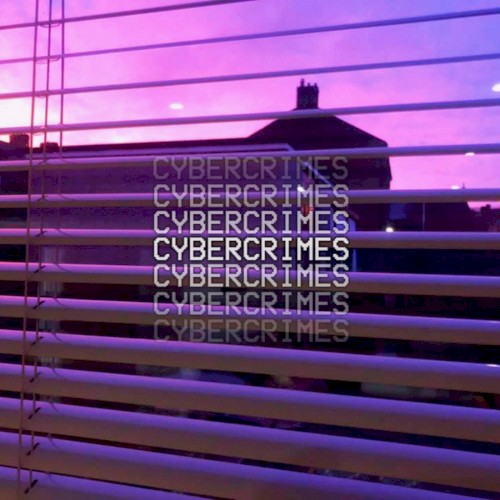 Cybercrimes封面