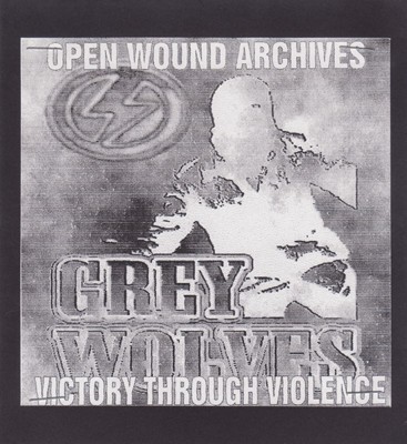 Victory Through Violence封面