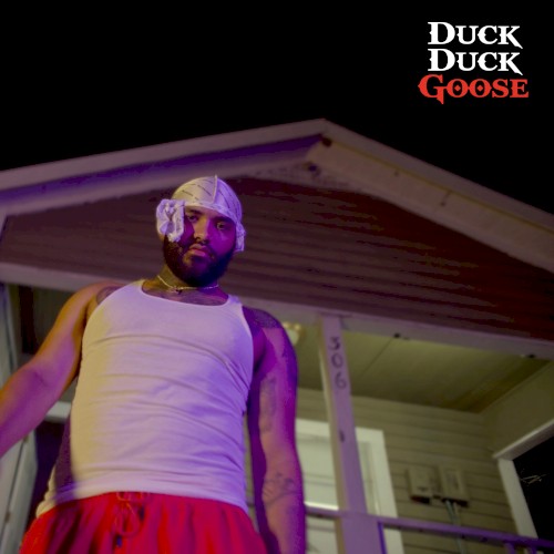 Duck Duck Goose封面