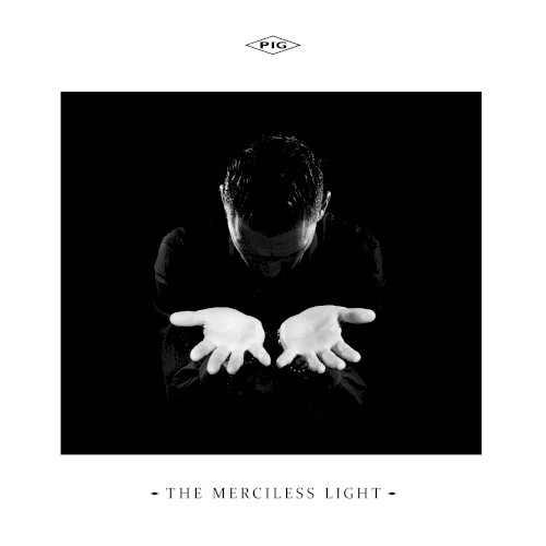 The Merciless Light封面