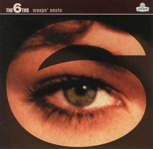 Wasps’ Nests封面