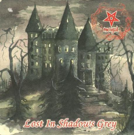 Lost in Shadows Grey封面