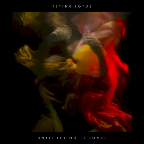 Until the Quiet Comes封面