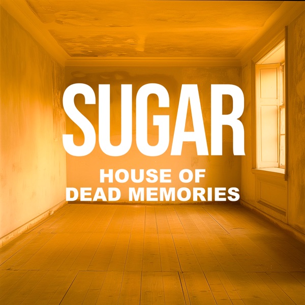 House Of Dead Memories封面