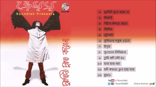 দুঃখিনী দুঃখ করোনা封面
