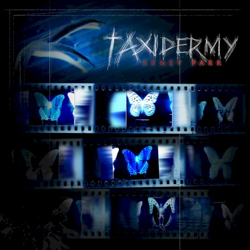 Taxidermy封面