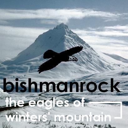 The Eagles of Winters' Mountain封面