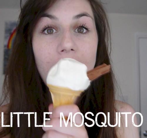 Little Mosquito封面