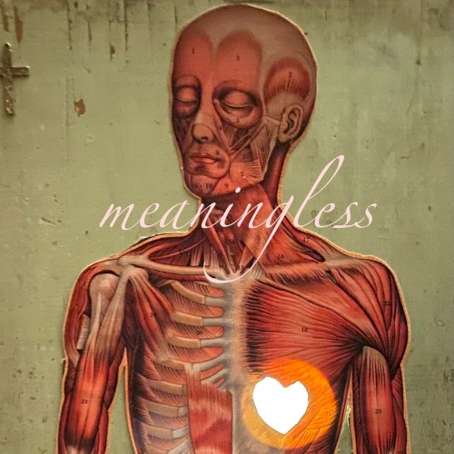 Meaningless封面