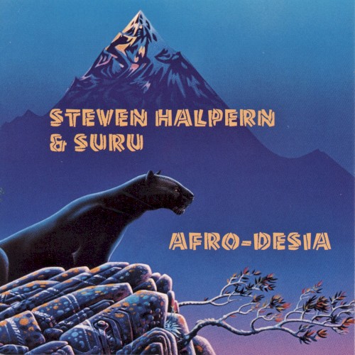Afro-Desia封面