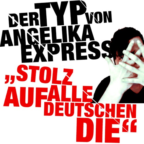 Stolz auf alle Deutschen die封面