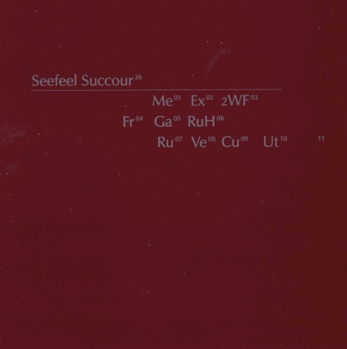 Succour封面