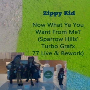 Now What Ya You Want From Me? (Sparrow Hills’ Turbo Grafx 77 Live & Rework)封面