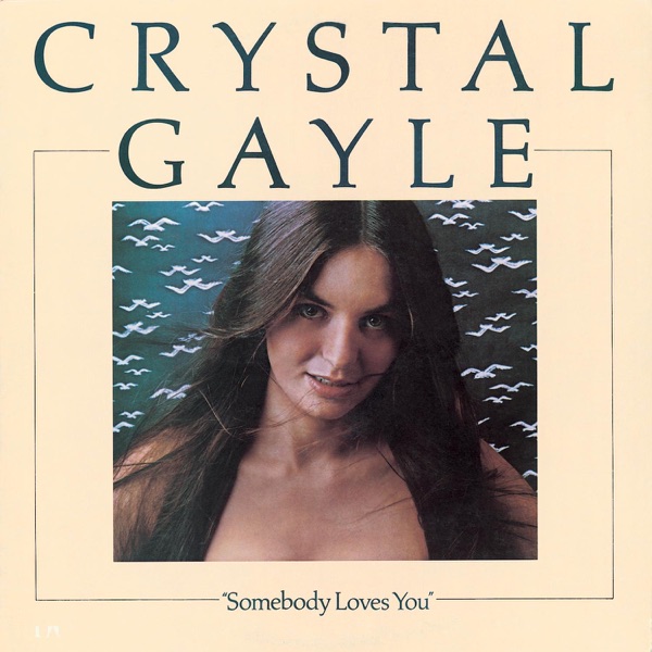 Somebody Loves You封面