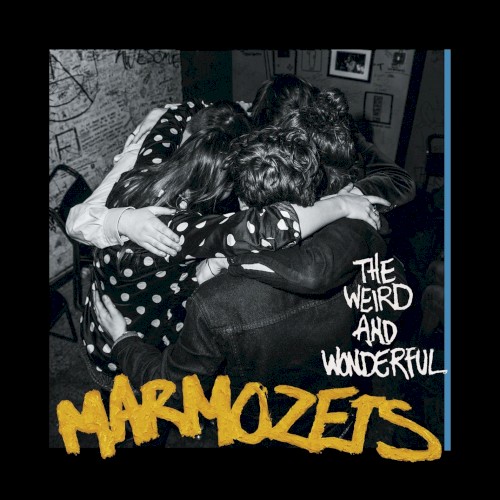 The Weird and Wonderful Marmozets封面
