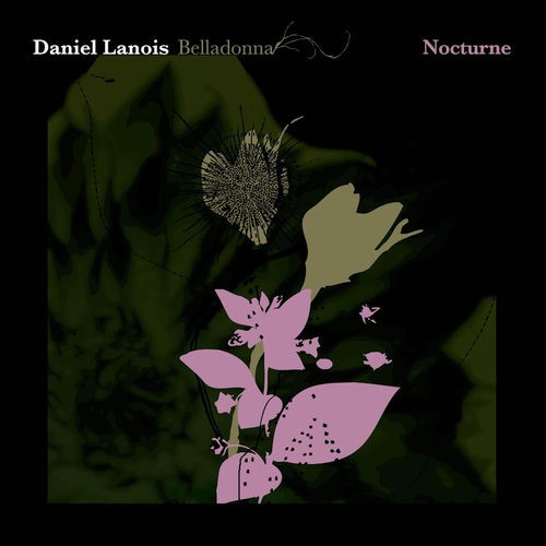 Belladonna Nocturne封面