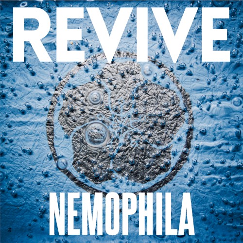 REVIVE封面