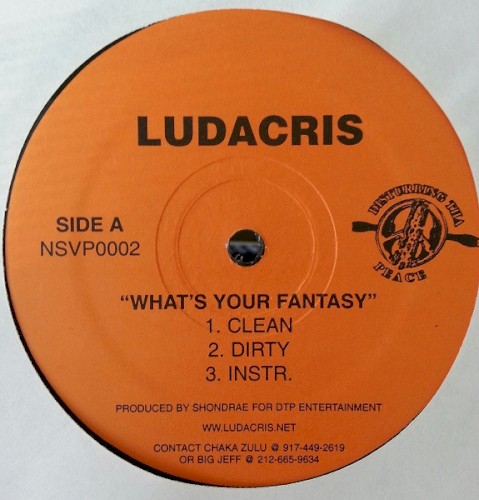 What’s Your Fantasy封面