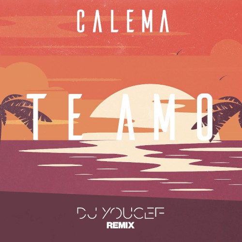 Te Amo (DJ Youcef Remix)封面