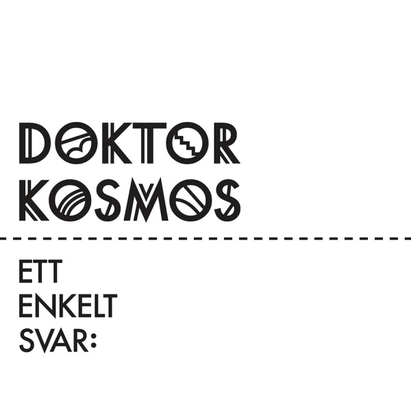 Ett enkelt svar封面