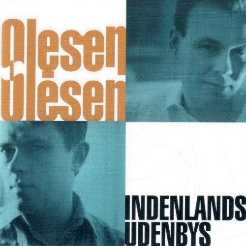 Indenlands Udenbys封面
