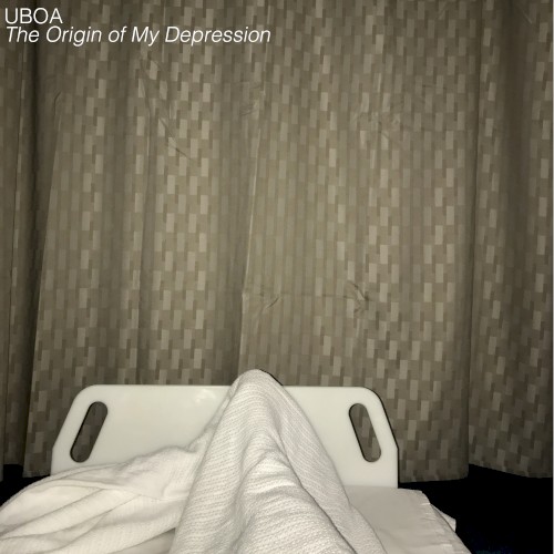 The Origin of My Depression封面