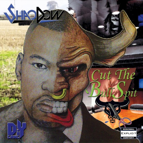 Cut the BullSpit封面