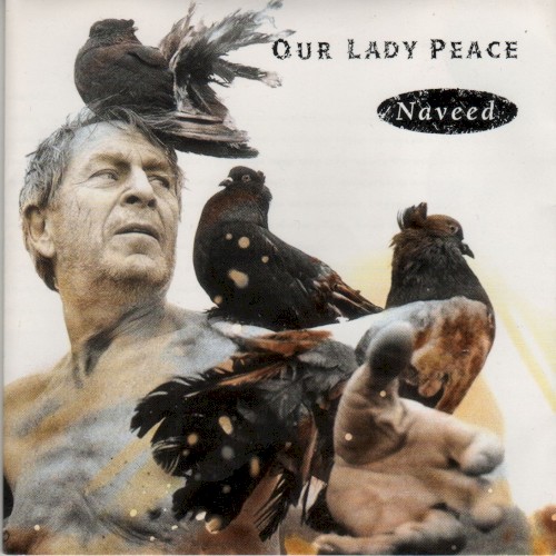 Naveed封面