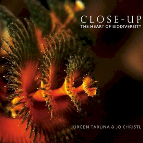 Close-Up (The Heart Of Biodiversity)封面