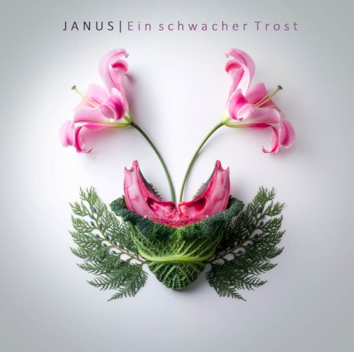 Ein schwacher Trost封面