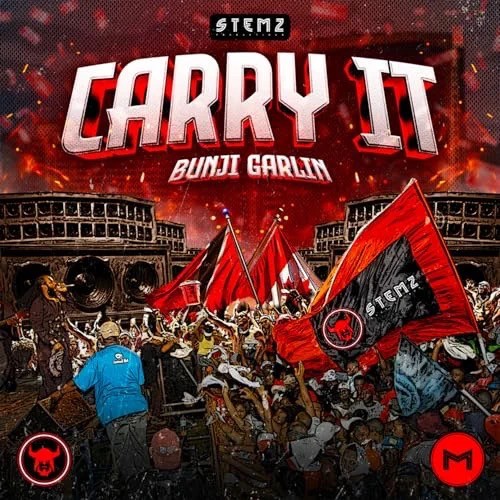 Carry It封面