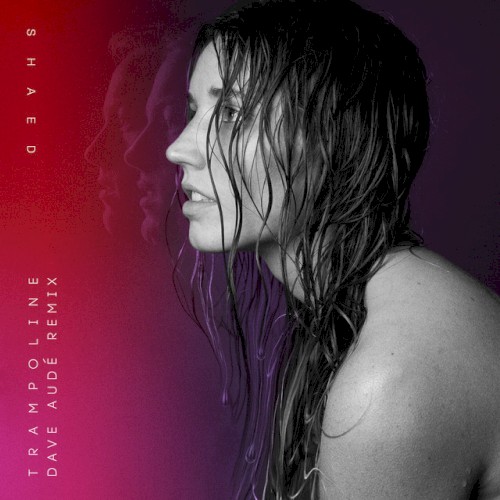 Trampoline (Dave Audé remix)封面