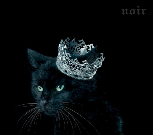 BEST SELECTION “noir”封面