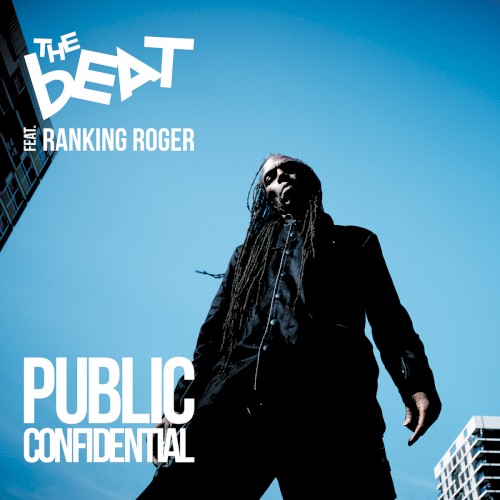 Public Confidential封面