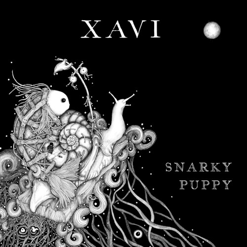 Xavi封面