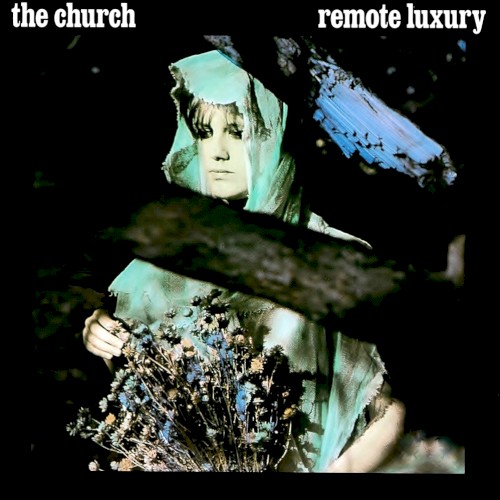 Remote Luxury封面