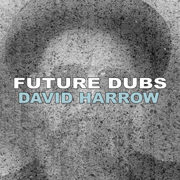 Future Dubs封面