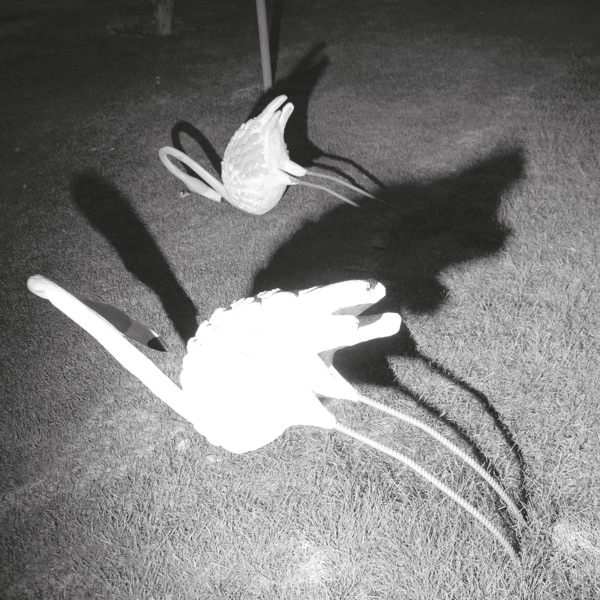 A Mimesis of Nothingness封面