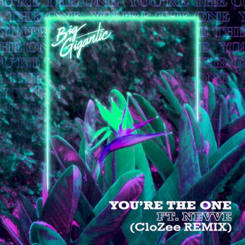 You’re the One (CloZee remix)封面