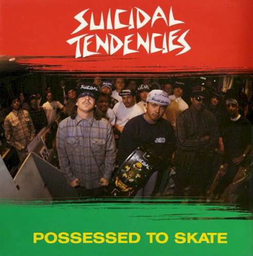 Possessed to Skate封面
