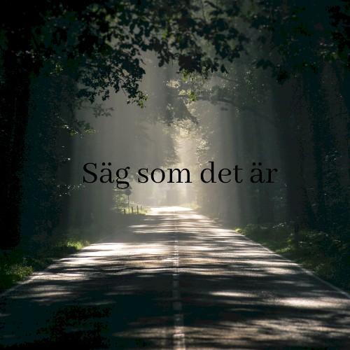 Säg som det är封面