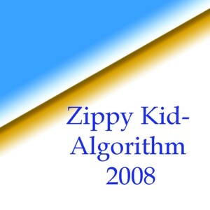 Algorithm 2008封面