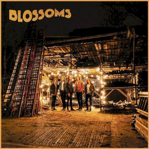 Blossoms封面