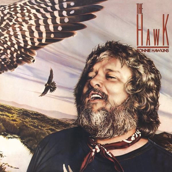 The Hawk封面