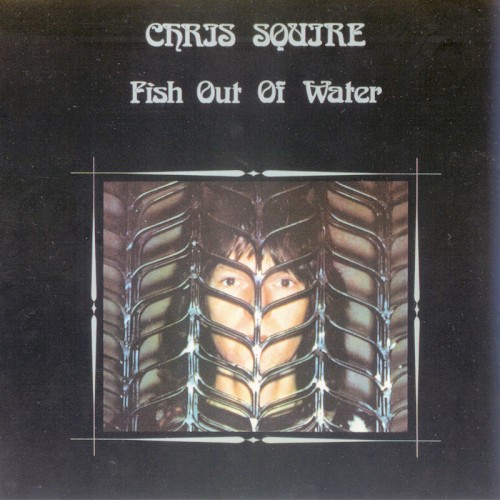 Fish Out of Water封面
