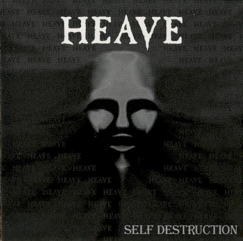 Self Destruction封面